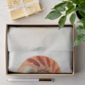 Muschel des Lebens Seidenpapier (Geschenk)