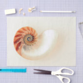 Muschel des Lebens Seidenpapier (Handwerk)