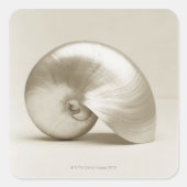 Muschel des Perlschwimms Quadratischer Aufkleber (Vorderseite)