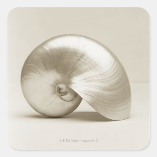 Muschel des Perlschwimms Quadratischer Aufkleber (Vorderseite)