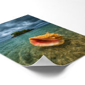 Muschel des tropischen Meeres und Blick auf die In Poster (Ecke)