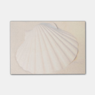 Muschel, die in Sand legt Post-it Klebezettel