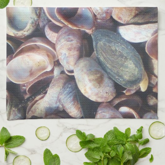 Muschel Diwanbett Handtuch (Gefaltet)