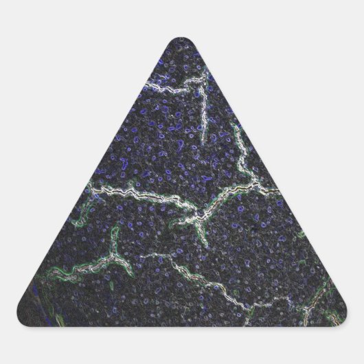 Muschel Dreieckiger Aufkleber (Vorderseite)