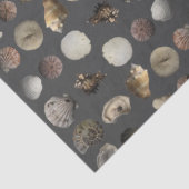Muschel Extravaganza Seidenpapier (Detail)