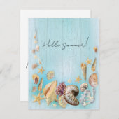 Muschel Feiertagskarte (Vorne/Hinten)