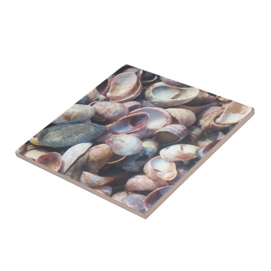 Muschel Fliese (Seite)