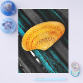 Muschel Flyer (Einzeln)