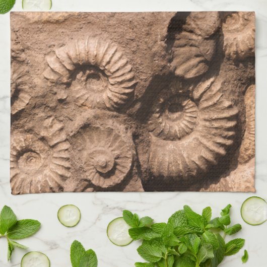 Muschel-Fossilien Geschirrtuch (Gefaltet)