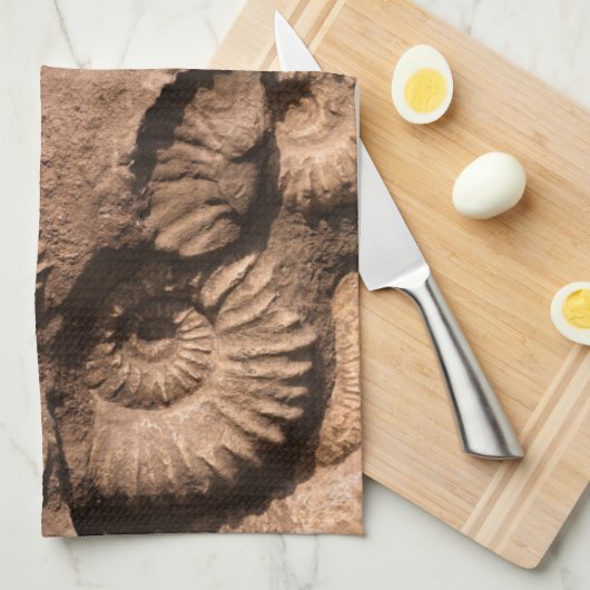 Muschel-Fossilien Geschirrtuch (Viertel Falte)