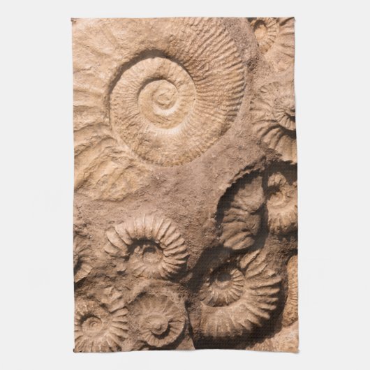 Muschel-Fossilien Geschirrtuch (Vertikal)