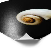 Muschel Fotodruck (Ecke)