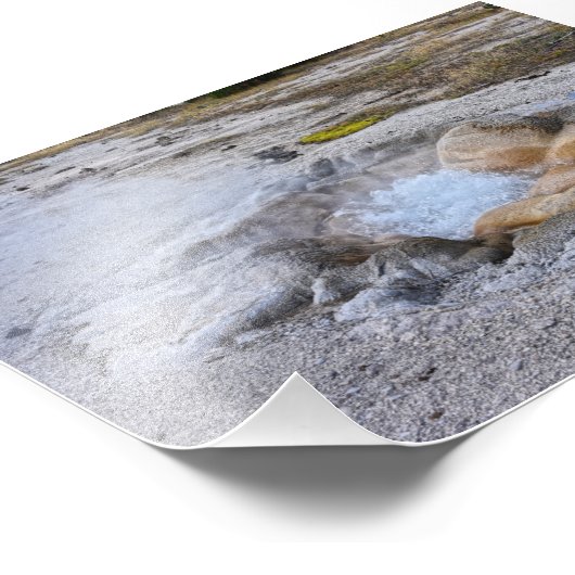 Muschel Frühling im Yellowstone Nationalpark, Wyom Fotodruck (Ecke)