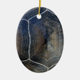 Muschel Galapagos Keramik Ornament