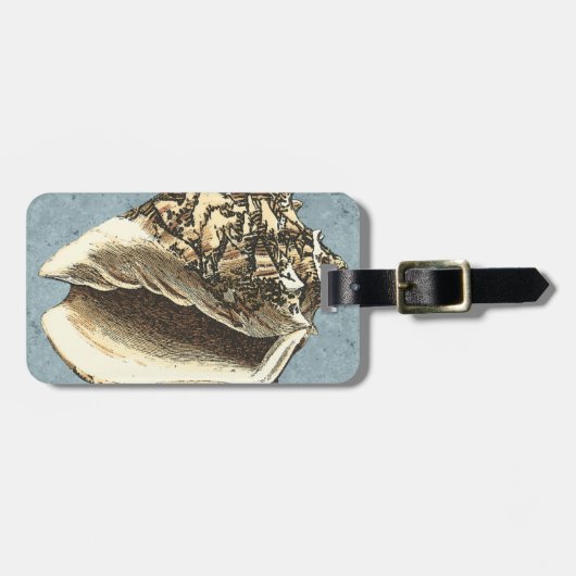 Muschel Gepäckanhänger (Vorderseite horizontal)