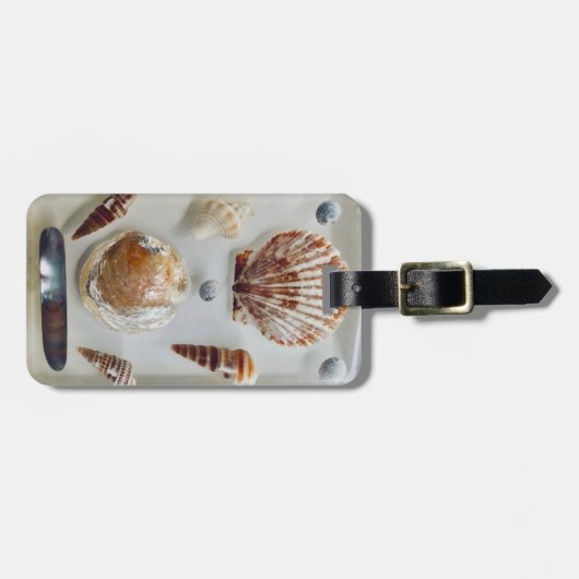 Muschel Gepäckanhänger (Vorderseite horizontal)