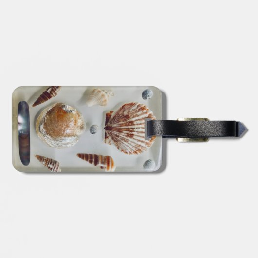 Muschel Gepäckanhänger (Rückseite horizontal)