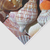 Muschel-Gewebe-Papier - HAMbyWG Seidenpapier (Ausschnitt)