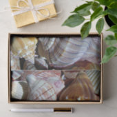 Muschel-Gewebe-Papier - HAMbyWG Seidenpapier (Geschenk)