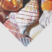 Muschel-Gewebe-Papier - HAMbyWG Seidenpapier (Ausschnitt)