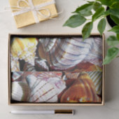 Muschel-Gewebe-Papier - HAMbyWG Seidenpapier (Geschenk)