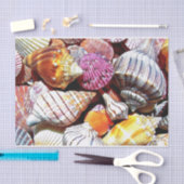 Muschel-Gewebe-Papier - HAMbyWG Seidenpapier (Handwerk)