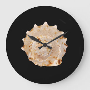 Muschel Große Wanduhr