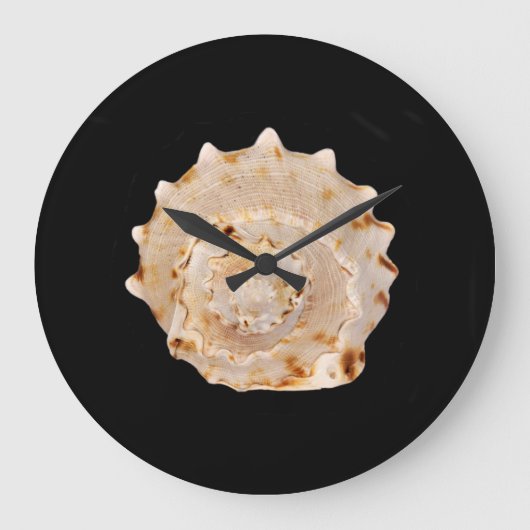 Muschel Große Wanduhr (Vorderseite)