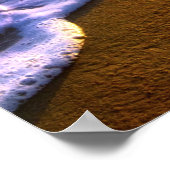 Muschel im Meer in der Surfzone Poster (Ecke)