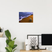 Muschel im Meer in der Surfzone Poster (Heimbüro)