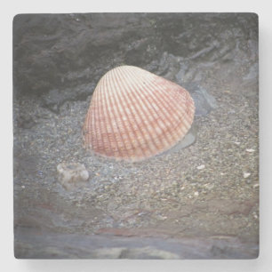 Muschel im Meer in Sand Steinuntersetzer