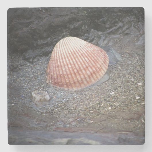 Muschel im Meer in Sand Steinuntersetzer (Vorderseite)