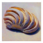 Muschel Imperial Venus Poster (Vorderseite)