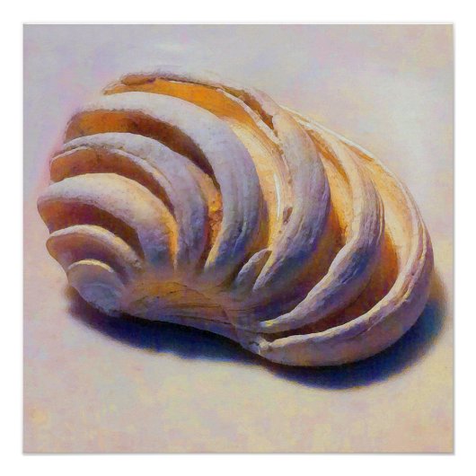 Muschel Imperial Venus Poster (Vorderseite)