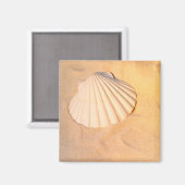 Muschel in Sand Magnet (Vorderseite/Rückseite)