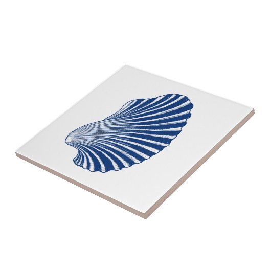 Muschel in Scallop, Print, Indigo und Weiß Fliese (Seite)