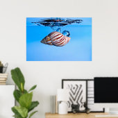 Muschel ins Wasser fallen Poster (Heimbüro)