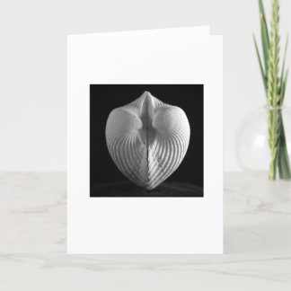 Muschel Karte