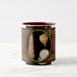 Muschel - Konchologie - Muscheln Zweifarbige Tasse