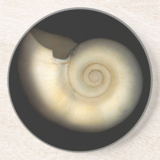 Muschel - Konchologie - Nautilus Getränkeuntersetzer
