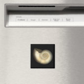 Muschel - Konchologie - Nautilus Magnet (In Situ (Geschirrspüler))