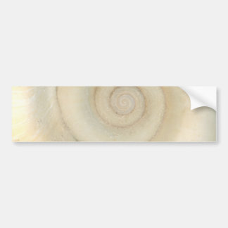 Muschel - Konchologie - weiße Spirale Autoaufkleber