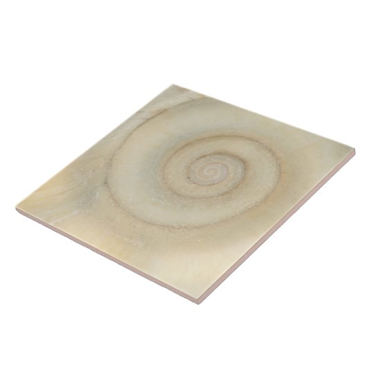 Muschel - Konchologie - Weiße Spirale Fliese (Seite)
