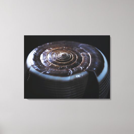 Muschel Leinwanddruck (Vorderseite)