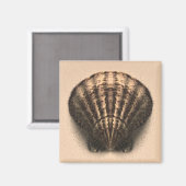 Muschel Magnet (Vorderseite/Rückseite)