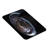 Muschel Magnet (Rechte Seite)