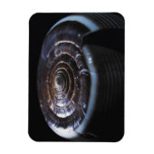 Muschel Magnet (Vertikal)