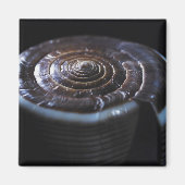 Muschel Magnet (Vorne)