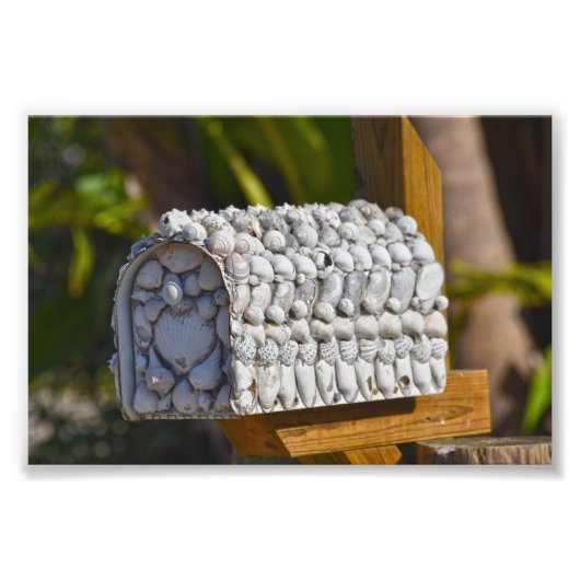 Muschel Mailbox, Fort Myers Beach, Florida Fotodruck (Vorne)