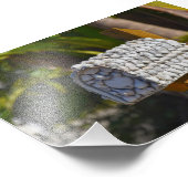 Muschel Mailbox, Fort Myers Beach, Florida Fotodruck (Ecke)